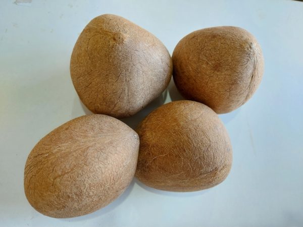 dry coconut copra (1)